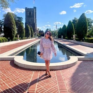 Aritzia Wilfred Day Dreamer Dress